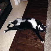 Karen Millward Simper's photo