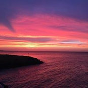 Trish Newton's photo