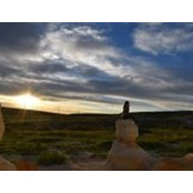Caitlin Rogers's photo