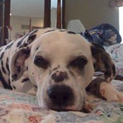Judy Lockwood's photo
