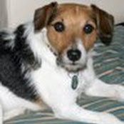John Sweeney's photo