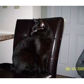 Deborah Rodriguez's photo