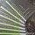 webuser_191252766