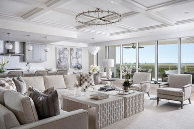 Example of a transitional living room design