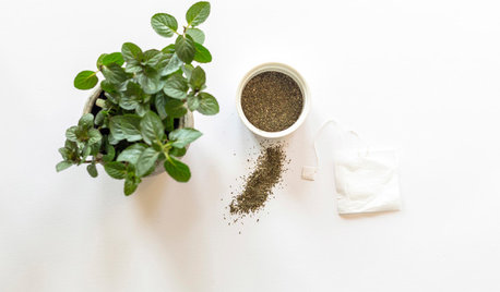DIY Project: Home-Grown Herbal Teabags