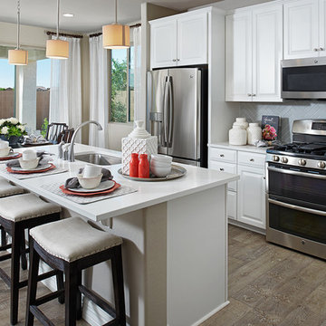 Coral model home in Arizona