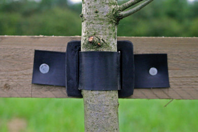 Tree Belting and Ties