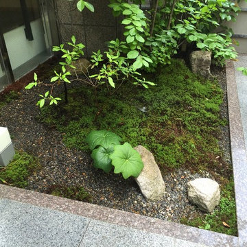 和庭