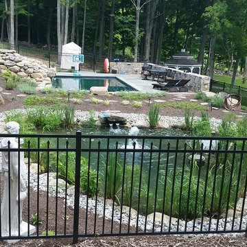 Natural Swimming Pool