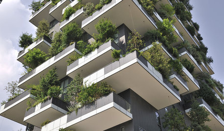 Мир дизайна: Вертикальный лес в высотном здании