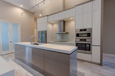 Kitchen - contemporary kitchen idea in Miami