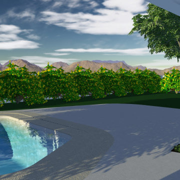 Arcadia Modern Landscape Renovation