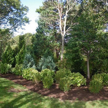 Driveway landscape