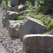 Huerta Patrio Trasero