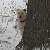 Nancy Wilson's photo