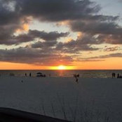 Kathy Madden's photo