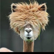 Wendy Ewens's photo