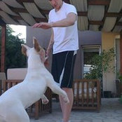 Stefan Trajkovic's photo