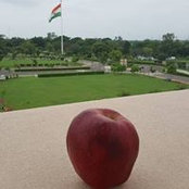 Chris Ng's photo