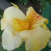 Foto von Ladonna Fowler