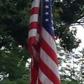 Lynn Nares's photo