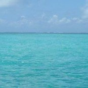 Sanda Ivancic's photo