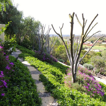 Spectacular Rancho Santa Fe Outdoor Living