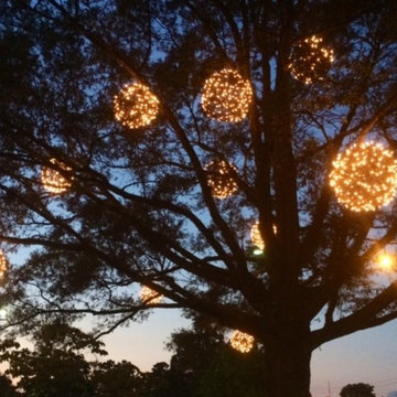 Holiday Lighting