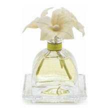 Fragrance