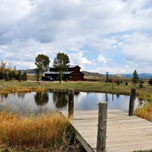 Pond