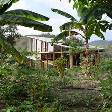 Ecuador Houzz Tour: A Forest Cabin Ramps Up Sustainable Design