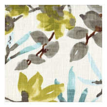 drapes