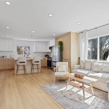 Open-Concept Kitchen And Living Room Remodel