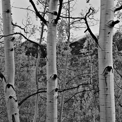 Interior Landscape Image Decor - Artwork