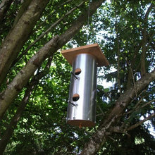 Bird Feeders