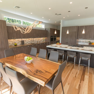 Contemporary Kitchen Remodel (Miami, FL)