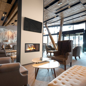VITA Fireplaces 36" See-Thru | Built-In Linear Vapor-Fire Feature