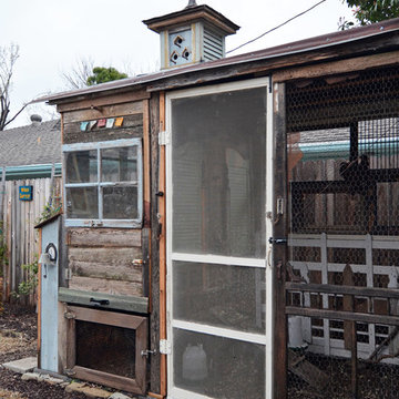 Dallas, TX: Greenman / Curvan Chicken Coop