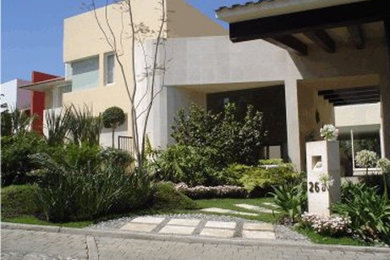 Home design - mid-sized modern home design idea in Mexico City