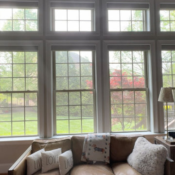 Motorized Roller Shades