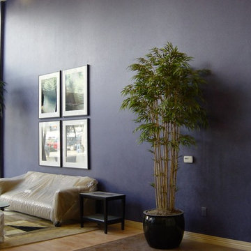 Wall Glazing; Faux Finishes