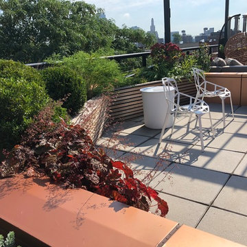 Brooklyn Rooftop 11