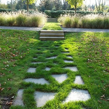 Pathway Plants