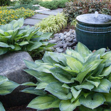 garden fountain
