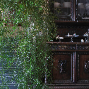 Visita Privata: Casa di Dana