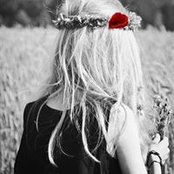 Lynn Nolet's photo