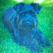 Aimee D's photo