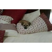 Margaret Marble's photo