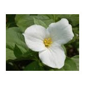 Kimberly Price's photo