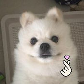 Photo de Frankie Chu